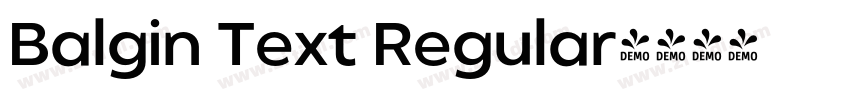 Balgin Text Regular字体转换